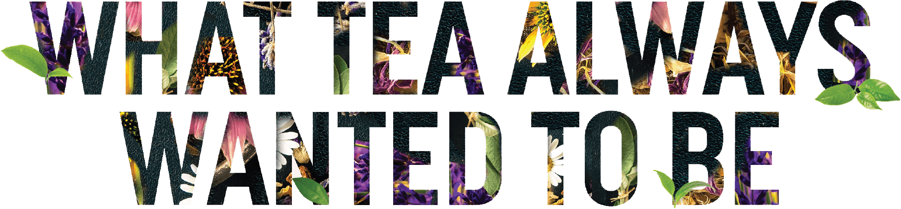 Teatopia – What Tea Always Wanted To Be Teatopia - What Tea Always Wanted To Be